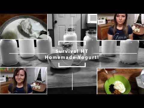 download lagu mp3 mp4 Homemade Yogurt Bacteria, download lagu Homemade Yogurt Bacteria gratis, unduh video klip Homemade Yogurt Bacteria
