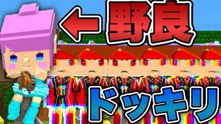 【神回】野良にドッキリかけてみたＷＷＷ 反応ヤバすぎＷＷＷ【脱獄ごっこ】