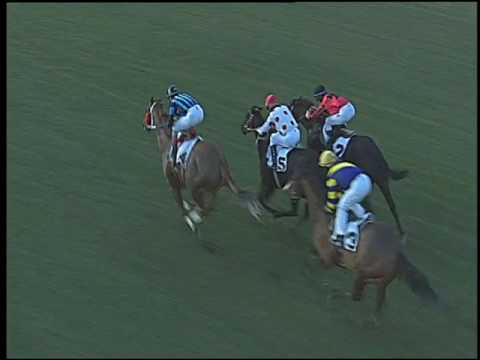 Galoppo 05/01/2017 - 1ª corsa