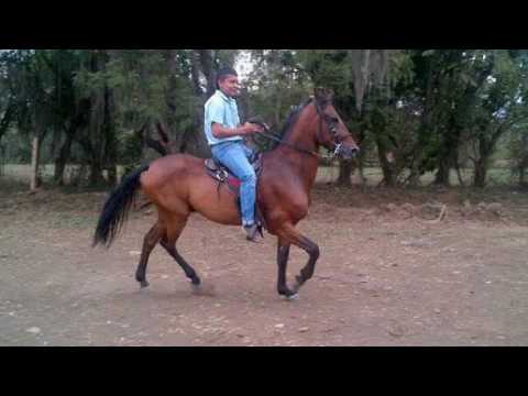 Sol y Luna Vuelve Junto a mi