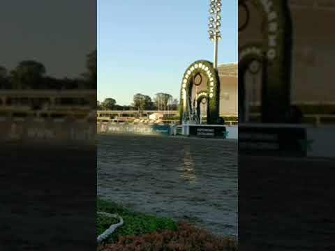 Girona fever ganó en Argentina clásico Venezuela ( G2)