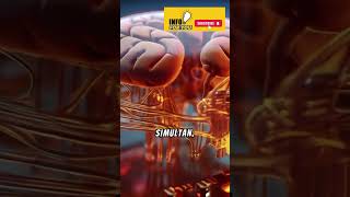 Download lagu 5 Fakta Unik Otak Manusia mp3 Download lagu 5 Fakta Unik Otak Manusia mp3