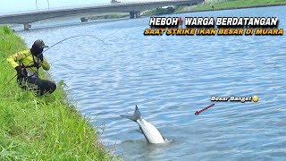 Download lagu Rekor..! Mancing Dapat Ikan Blanak terbesar di muara mp3