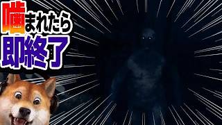 噛まれたら即終了 バイオハザードRE:4 / part411
