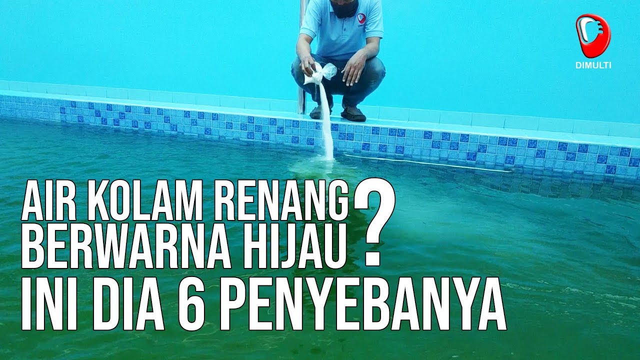 Penyebab Air Kolam Renang Menjadi Hijau