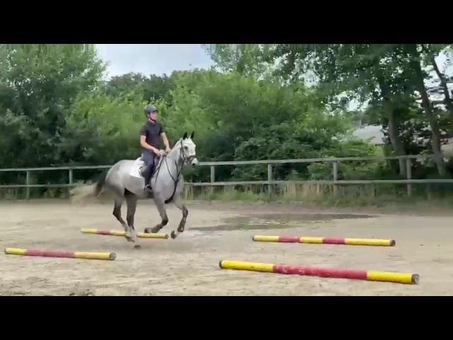 Under the saddle