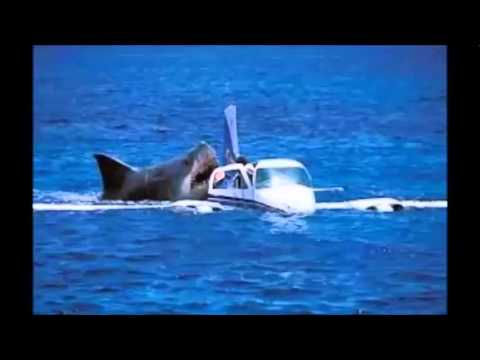 Megalodon Shark Attack Caught On Tape Attacking Crashed Air Plane Off Coast of Cambodia real or fake