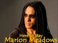 Marion Meadows -  Here To Stay