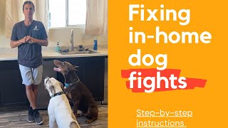 Do your dogs play rough or fight?//Proven method to fix it.