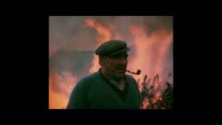 Whiddy - Trailer