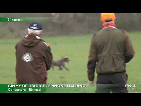 BAGNOREGIO 2025  - DERBY CONTINENTALI 2025 - BATTERIA 1 CONTINENTALI ITALIANI 8 MARZO 2025