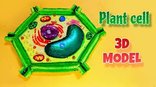 plant cell model making 3d - diy - simple and easy for science project exhibition