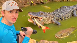 I Caught The Alligator Attacking My Fish!