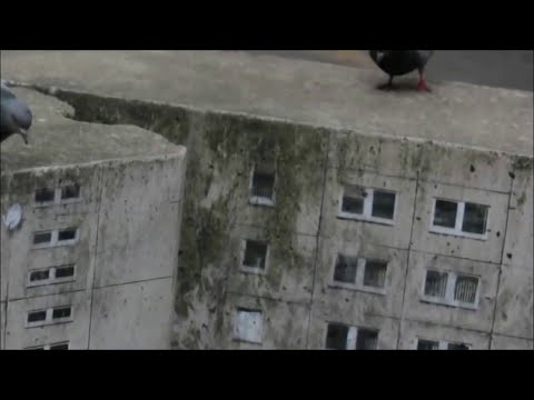 JSTAR feat. Spikey Tee -  Babylon Children (FLeCK Remix) [Serial Killaz]