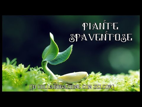 Piante Spaventose [In collaborazione con Zelcor]