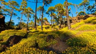 Download lagu 1000 nights - Frendship (TNDRVA MIX) mp3