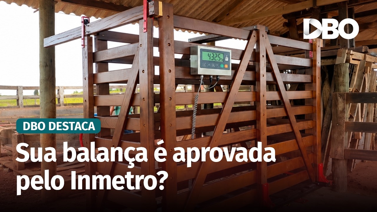 Você pode estar perdendo dinheiro na pesagem do gado sem saber