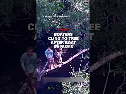 Boaters cling to tree after boat capsizes