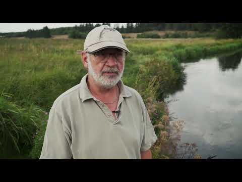 Landsbyprofilering – Haderup #1