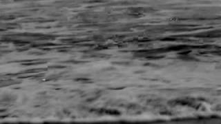 Sweet Billy Pilgrim - Longshore Drift