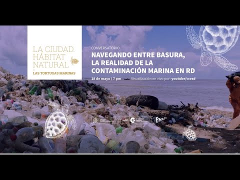 Imagen Luis Dias: Merenrock y Tecnoamargue - En Vivo Desde El Centro (2005)