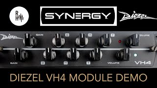 Video thumbnail for Synergy Diezel VH4 Module Demo by Rick Hollis
