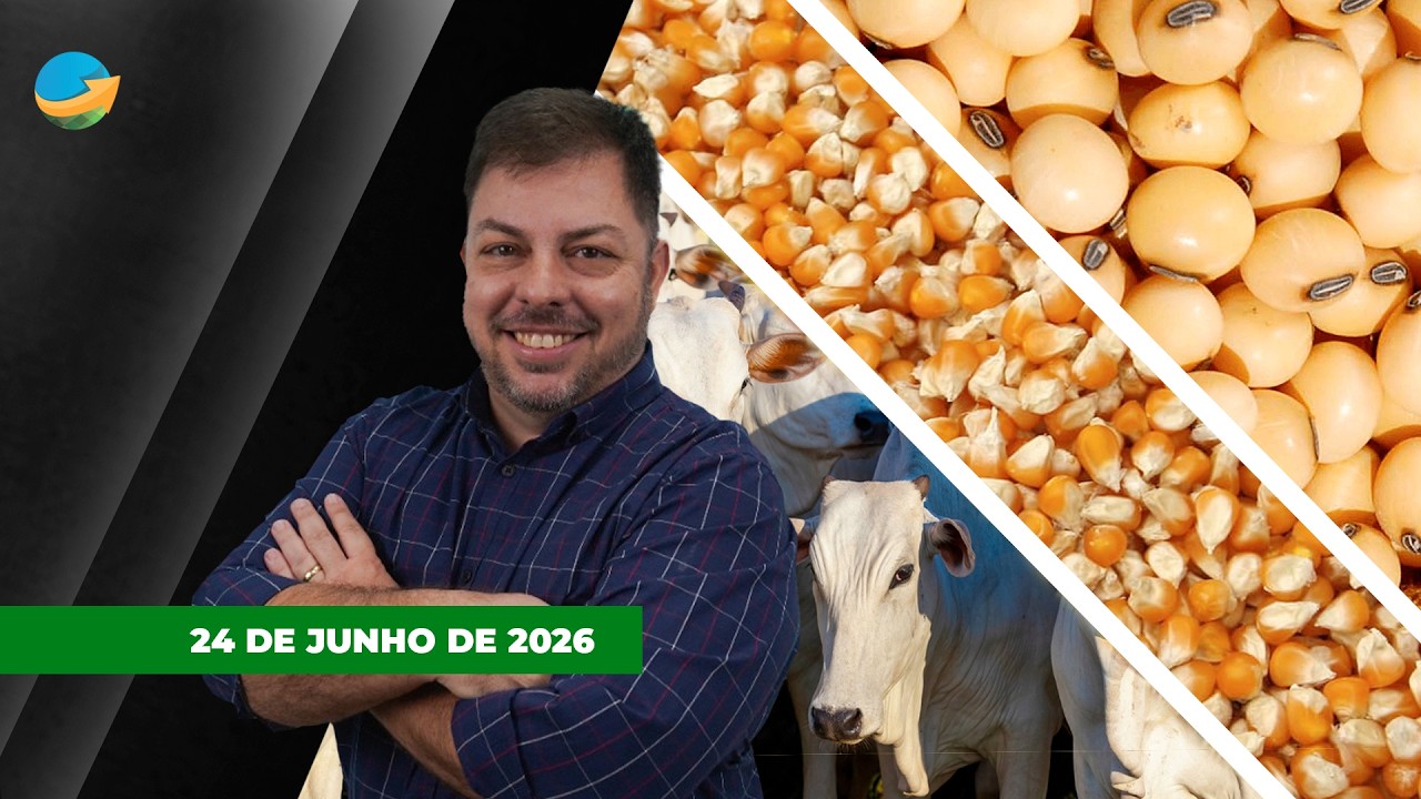Baixa liquidez no mercado do boi e pressão sobre arroba; soja perde fôlego e encerra no vermelho