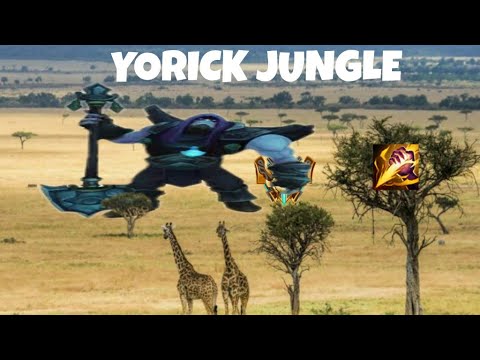 Yorick dans la Savane