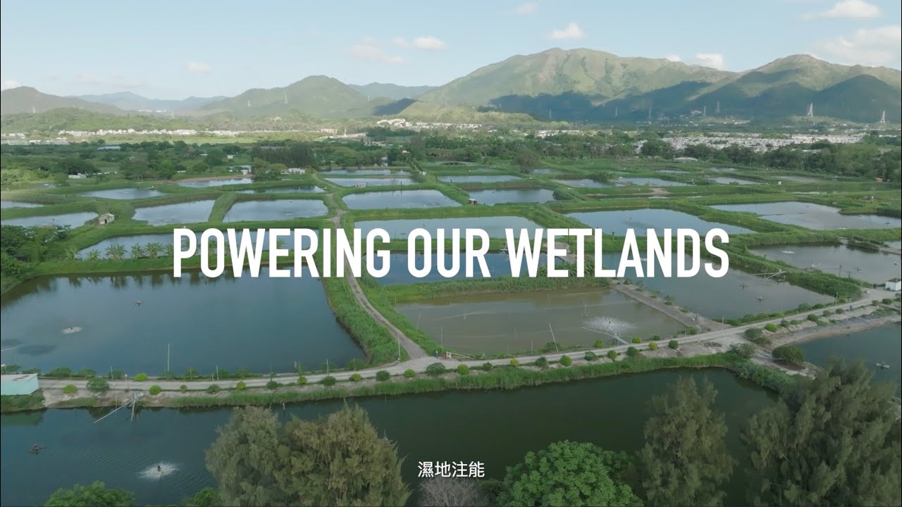 Powering Our Wetlands: Wetland NbS
