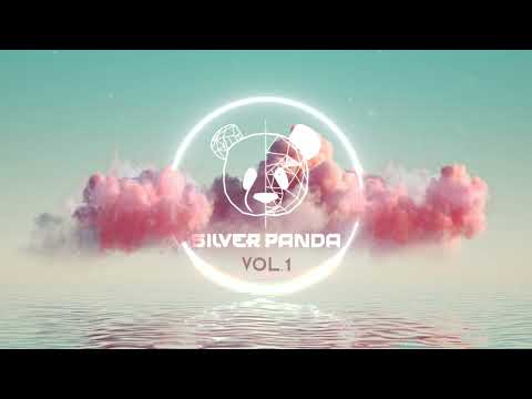 Silver Panda Melodic Sessions - Vol. 1