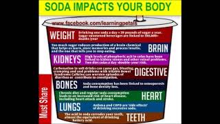 Can Mormons drink Coke  Is the LDS Church a top investor in Coke