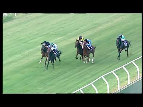 Napoli Galoppo 24/07/2021 - 5ª corsa