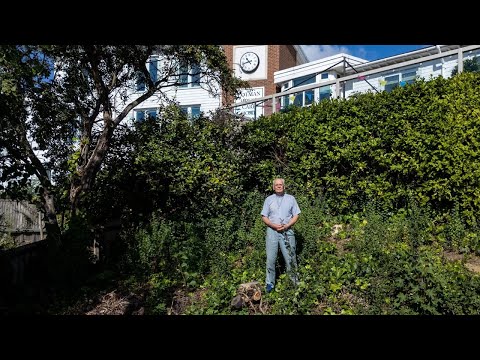 Vicar seeking £30k after contractors from care home cut down garden tree and shrubs | SWNS