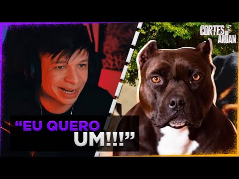ARUAN REAGE A TOP 10 RAÇAS DE CACHORRO MAIS BRAVA DO MUNDO (CABEÇA CURIOSA) - Cortes do Aruan