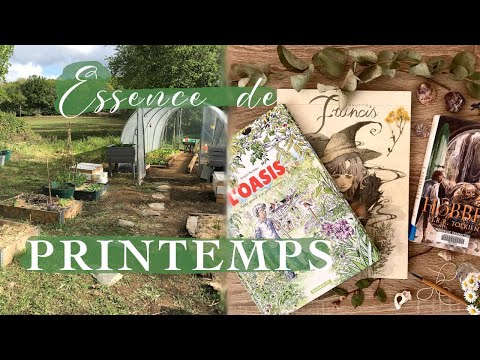 Printemps 🌱 : potager, pluie, décoration de saison, PAL, inspirations, artistes, etc…