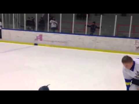 Czech Vikings Lions Cup 2015 - We are the champions!