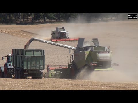Geballte Power im Weizen - Claas Lexion 7500 und 560 - Claas Lexion New Generation - Zollner Cham
