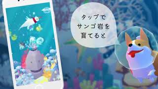 アビスリウム 034 Bo 正 コーギー説明