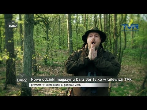 Darz Bór - Na Wesoło 2