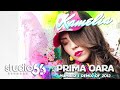 Kamelia - Prima oara (Ibiza Sun of a Beach Remix ...