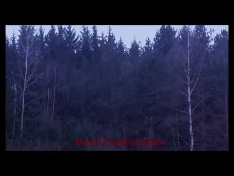 Stygle - Stotelė Gruodžio tylėjime (prod. useless)