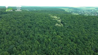 Protecting Mother Earth