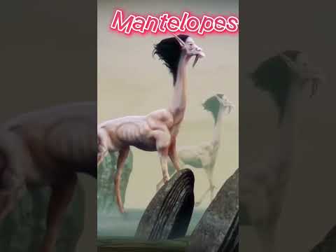 5 most disturbing human hybrids in All Tomorrows #qu #bewareofthequ #alltomorrows