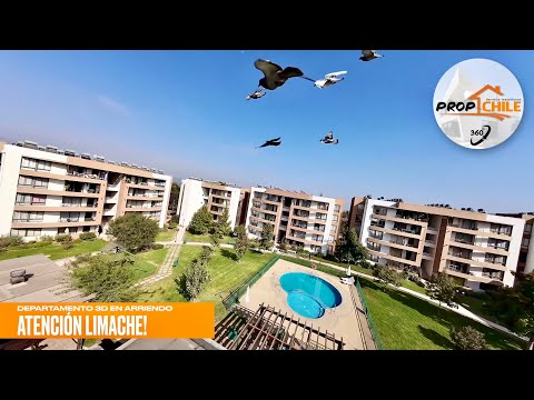 Video de ARRIENDO Departamento Urmeneta, Limache