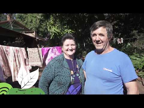 Manual de Historia de Gral Alvear