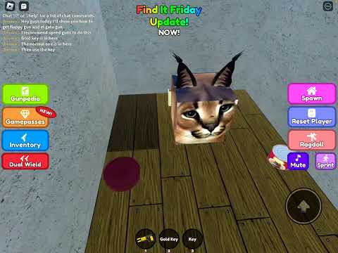 How to get floppy and el gato gun in admin guns