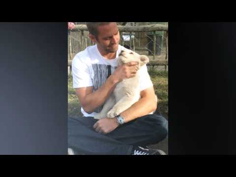 R.I.P Paul Walker 12.9.1973 - 30.11.2013