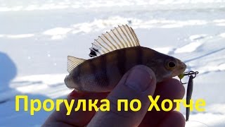 Прогулка по реке Хотча 02 02 2017