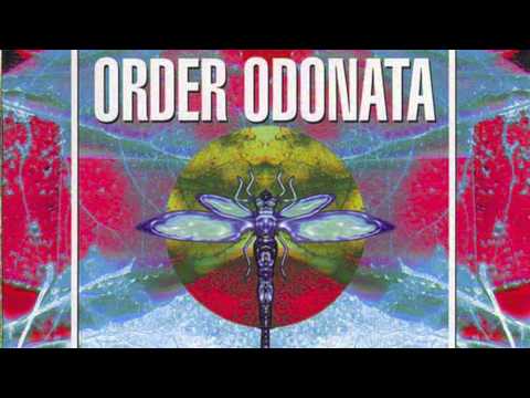 Zodiac Youth - Atoms (Angelfish Remix)