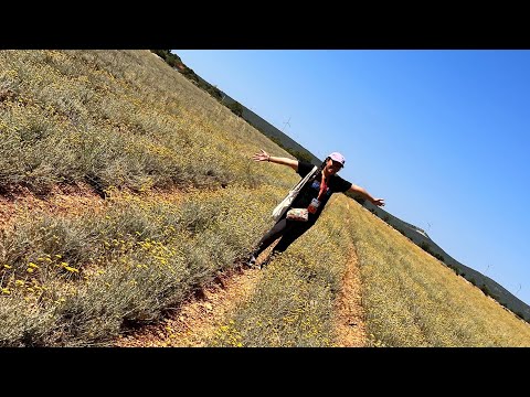 Day 3: Young Living Farm in Croatia